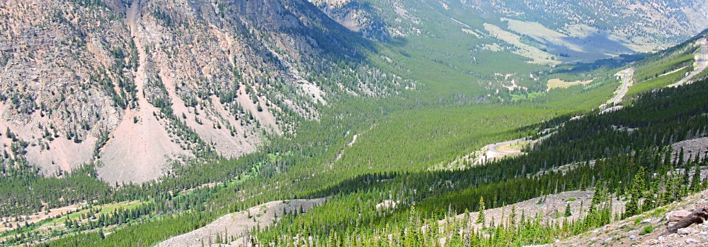 Beartooth HighwayRock Creek Vista