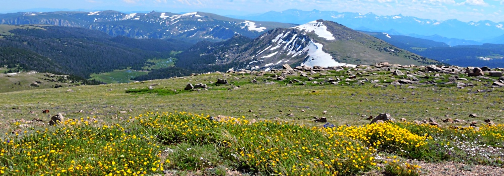 Beartooth HighwayThe Ridgeline Path Gallery