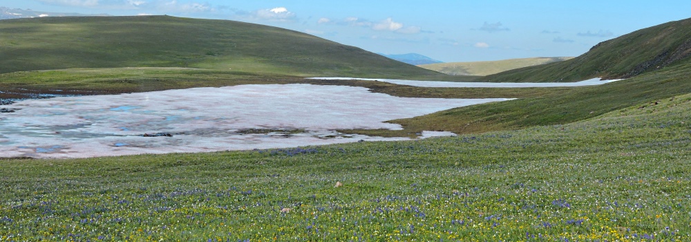 Beartooth HighwayThe Ridgeline Path Gallery