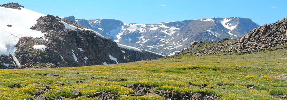 The Beartooth HighwayThe Summit Path Gallery
