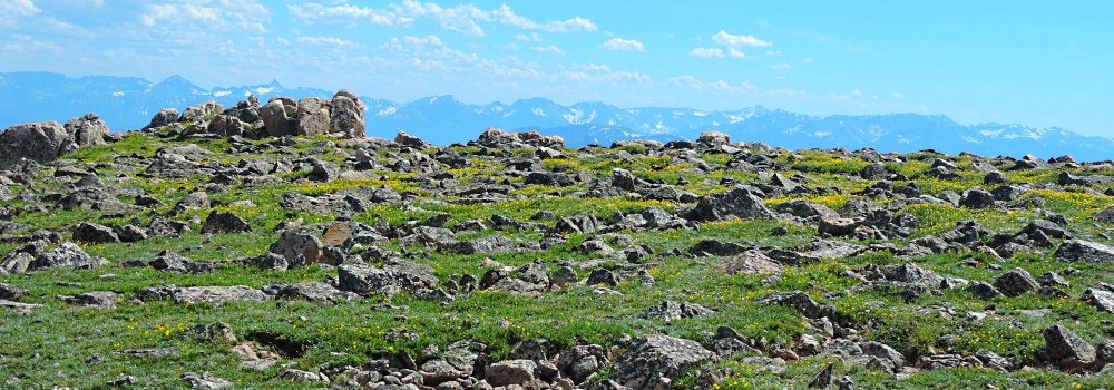 The Beartooth HighwayThe Summit Path Gallery