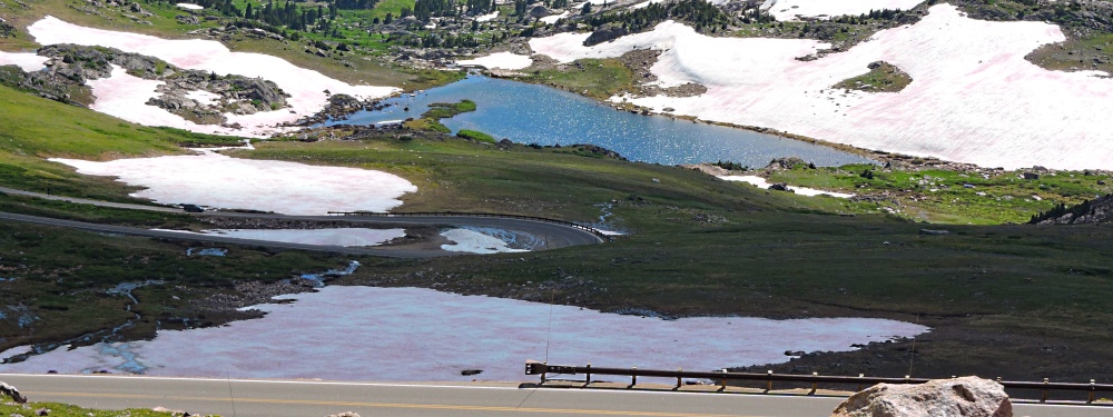 The Beartooth HighwayThe Descent Path Gallery