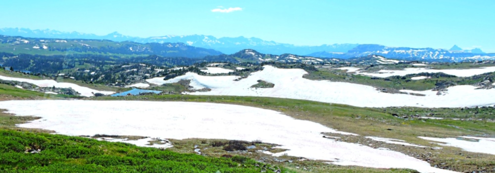 The Beartooth HighwayThe Descent Path Gallery