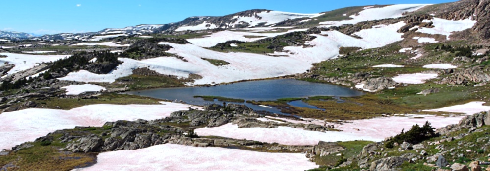 The Beartooth HighwayThe Descent Path Gallery