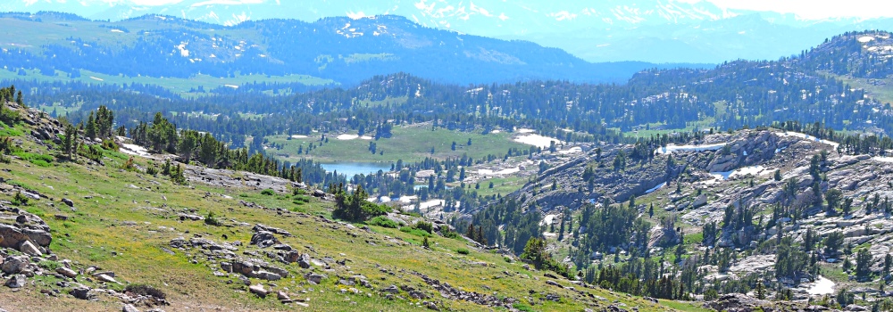 The Beartooth HighwayThe Descent Path Gallery