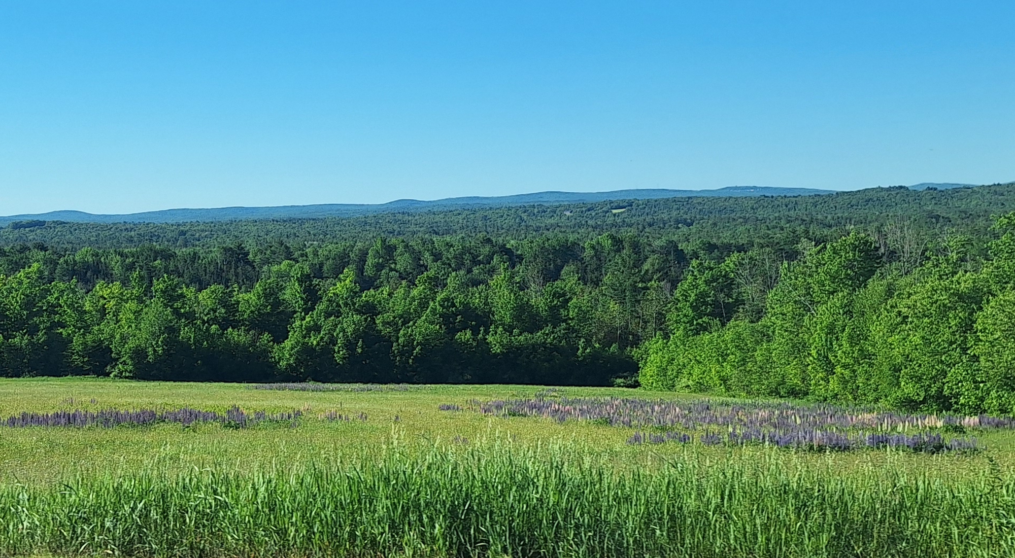 The Roadpath JourneysThe Northern Tier Route, New Hampshire