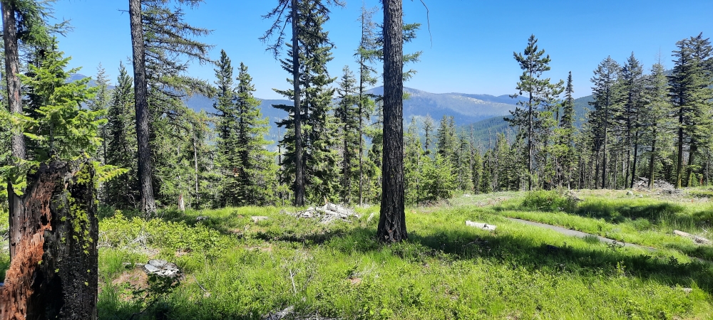 The Northern Tier Routein Washington
