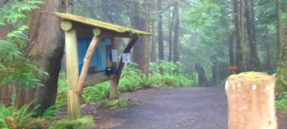 The Northern Tier Route,Washington