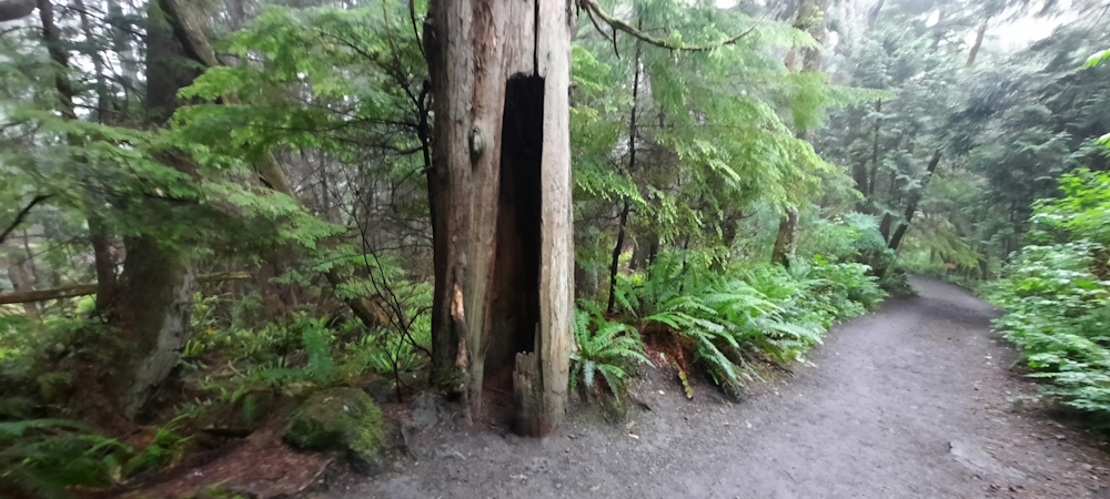 The Northern Tier Route,Washington