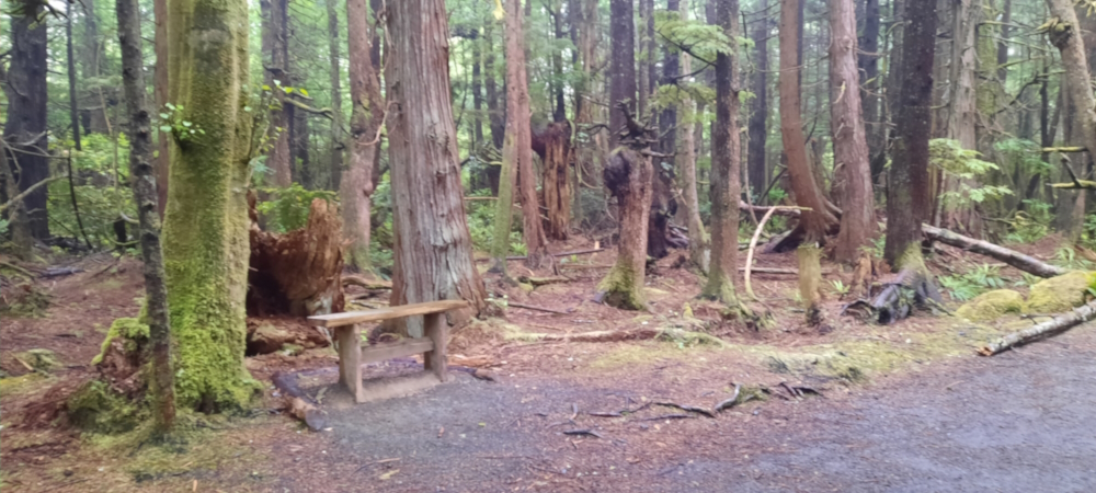 The Northern Tier Route,Washington