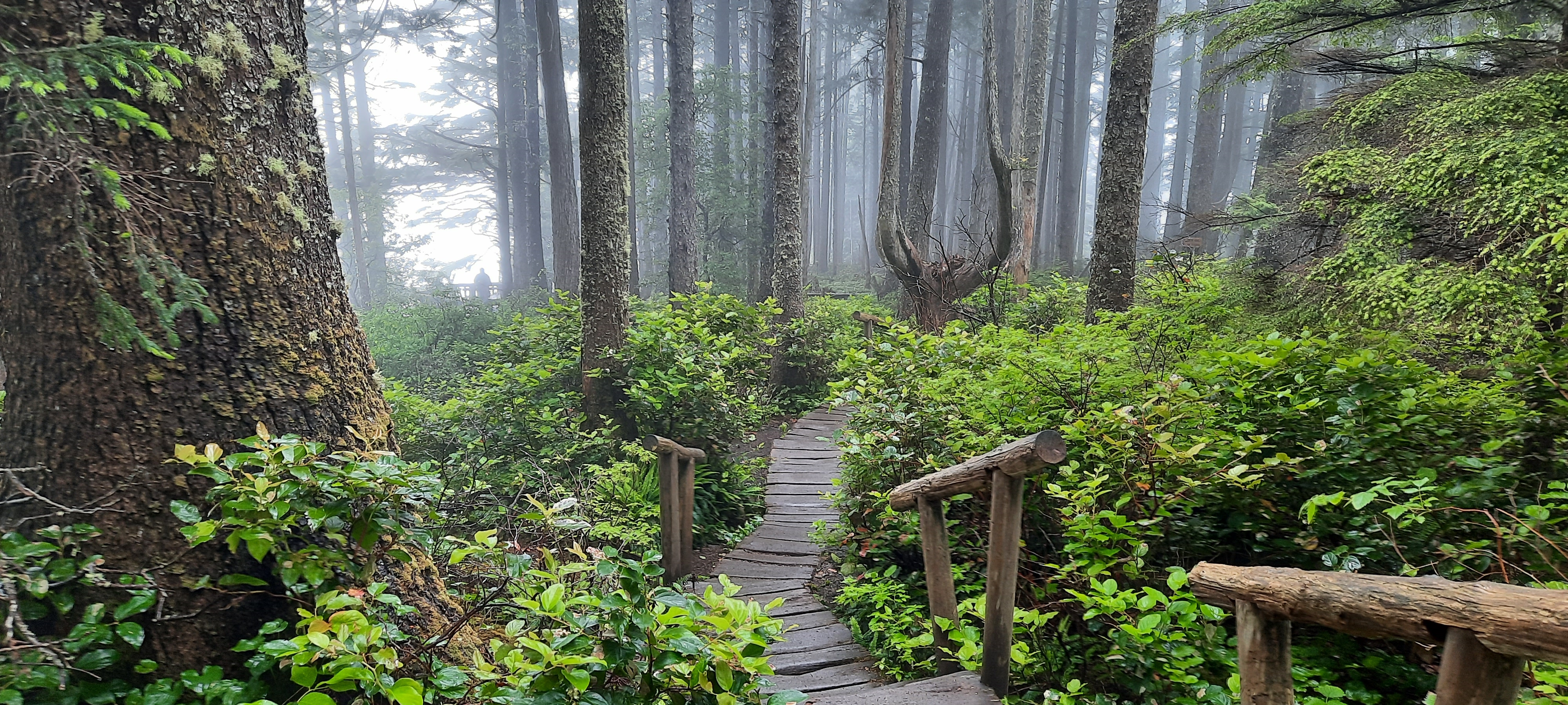 The Northern Tier Route,Washington