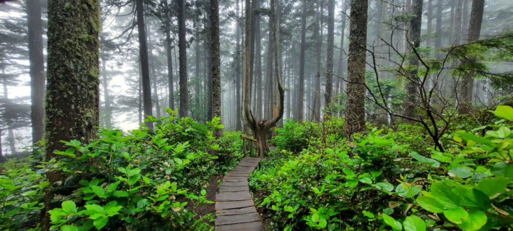 The Northern Tier Route,Washington