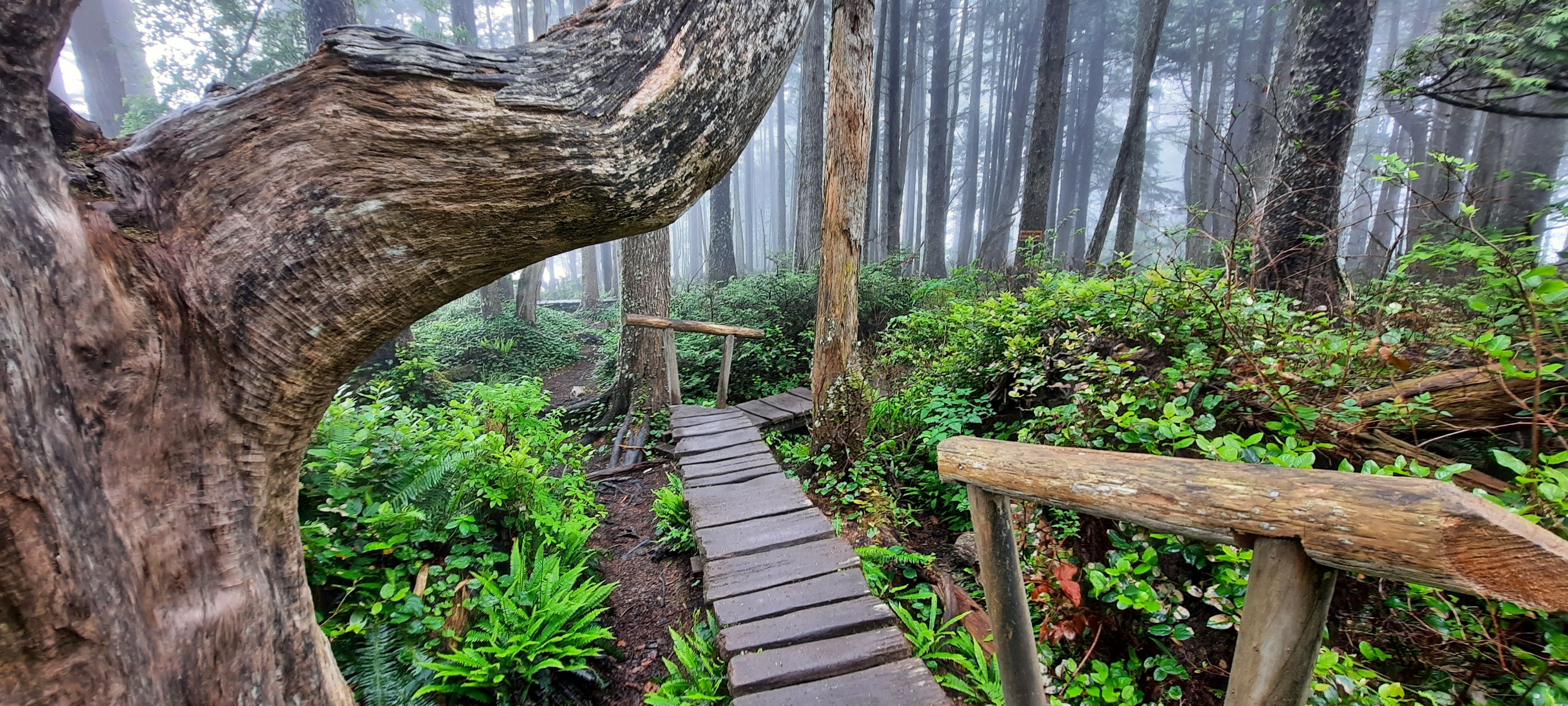 The Northern Tier Route,Washington