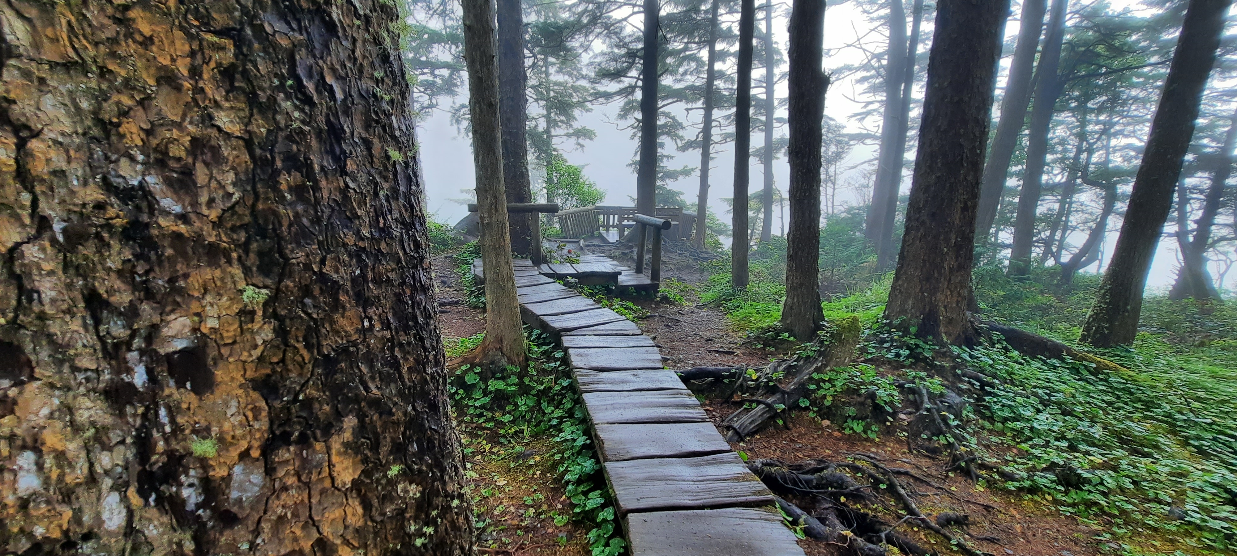 The Northern Tier Route,Washington