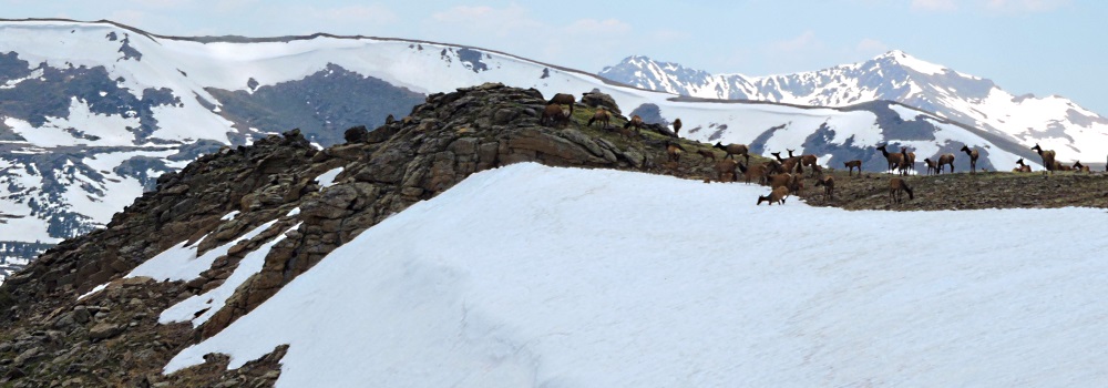 The Roadpath Journeys, ColoradoTrail Ridge Road National Scenic Byway