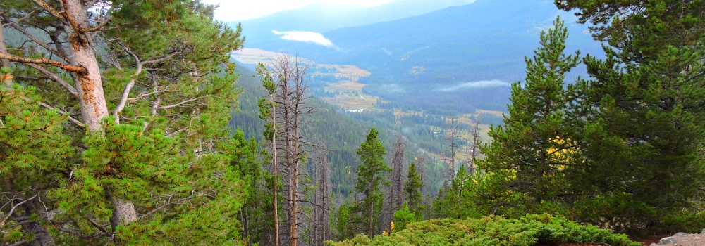 The Trailridge RouteColorado