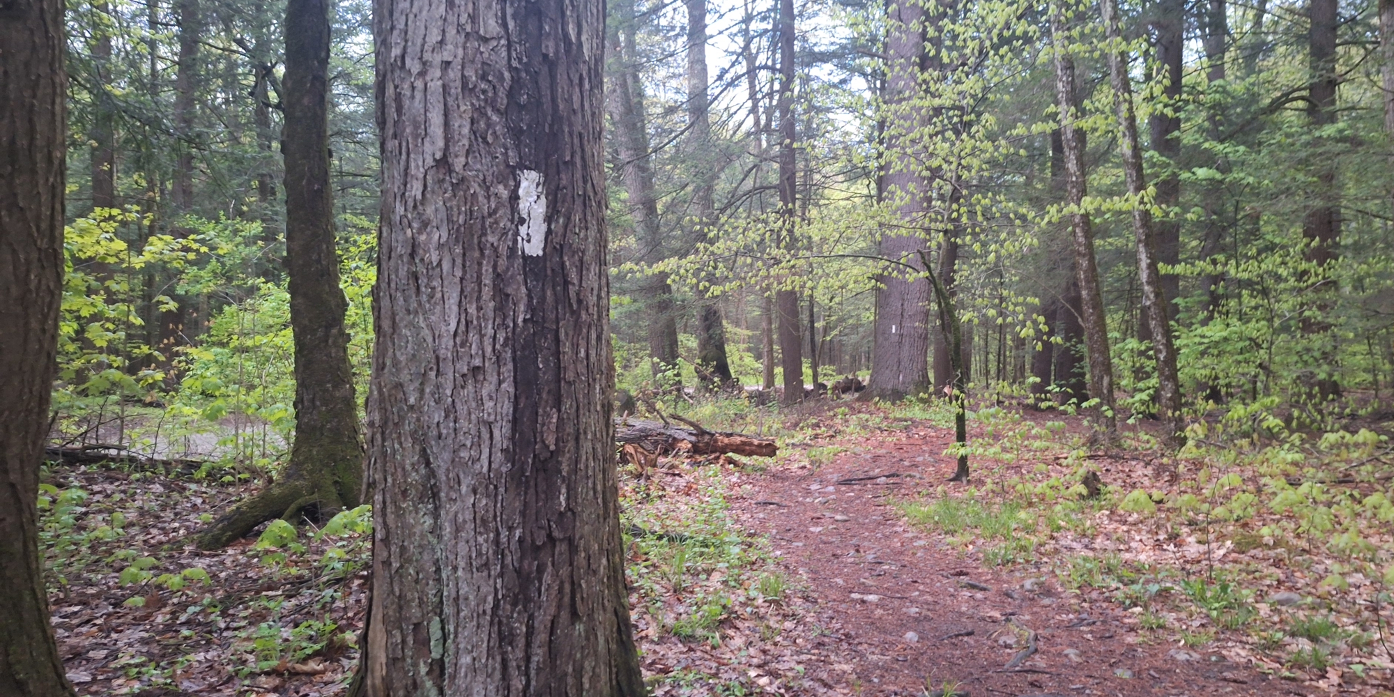 The Appalachian Trail2026 Journey, Massachusetts
